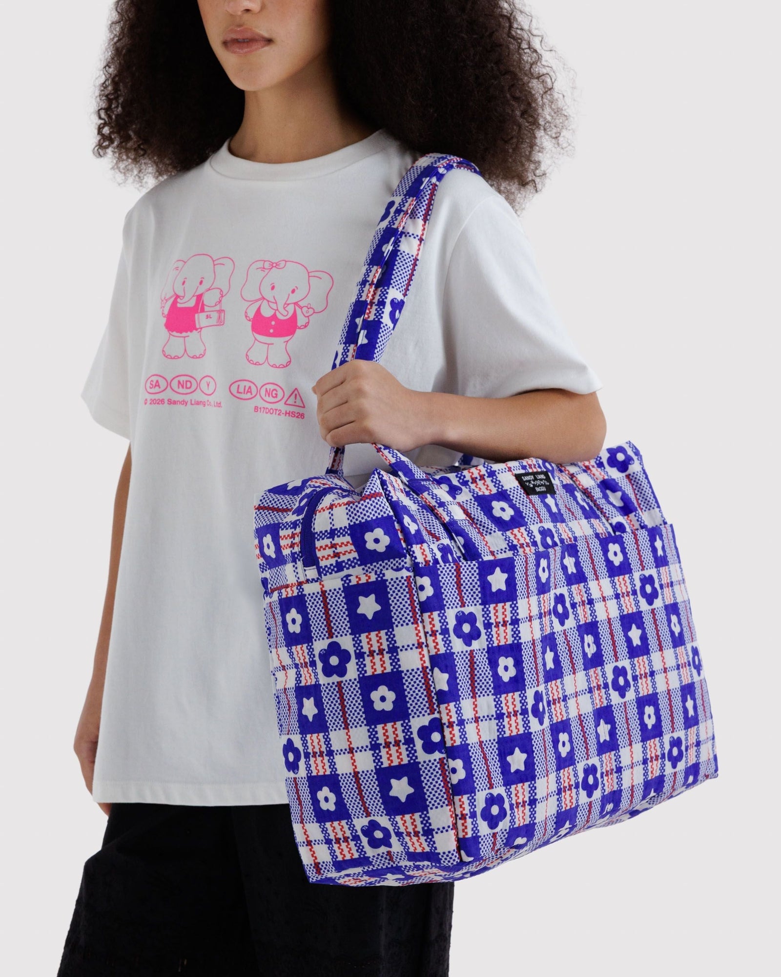 Cloud Carry-on - Market Plaid Blue - Light Storage