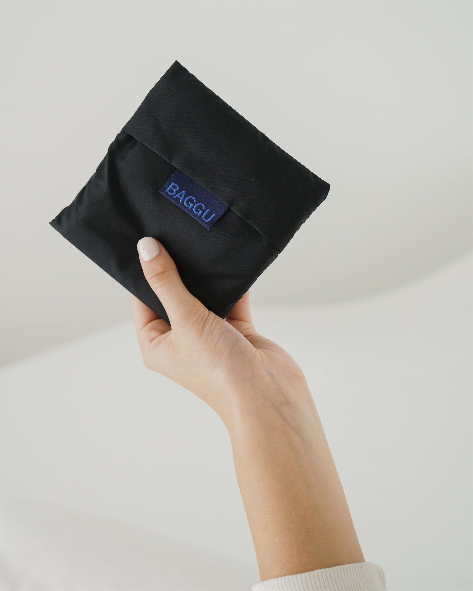 Standard Baggu - Black - Daily Carry