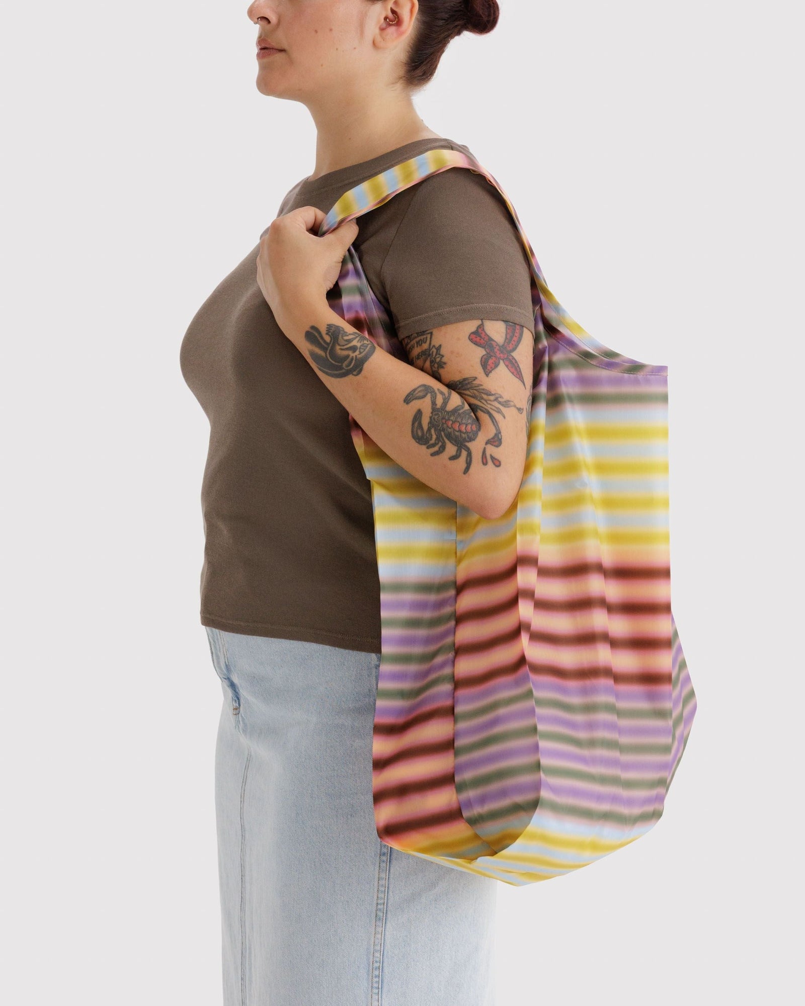 Big Baggu - Gradient Stripe Multi - Daily Pack