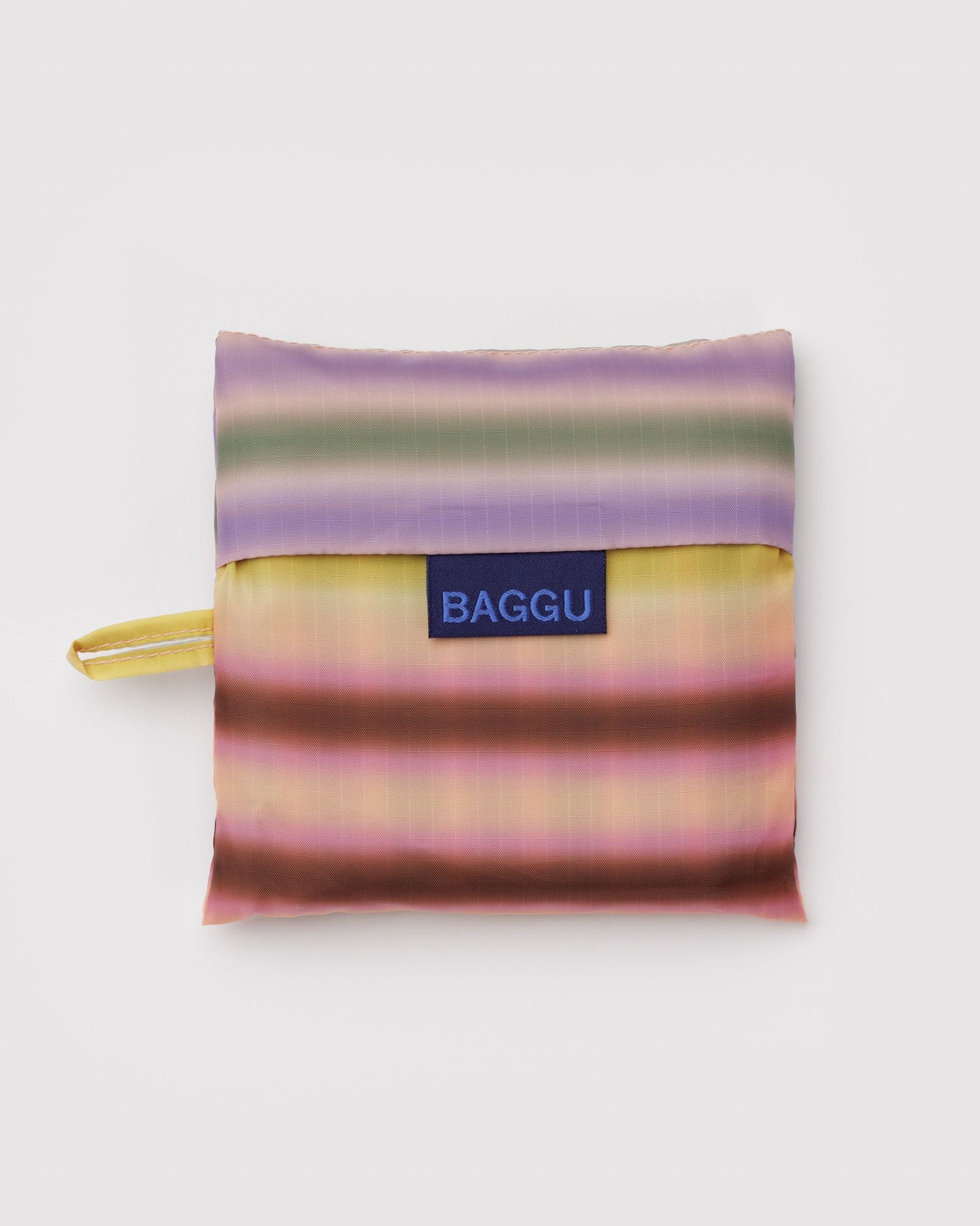 Standard Baggu - Gradient Stripe Multi - Easy Stow